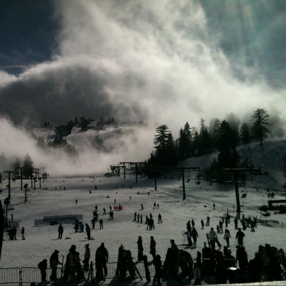 Meet your Posher, Yolie - Picture 8 of 8